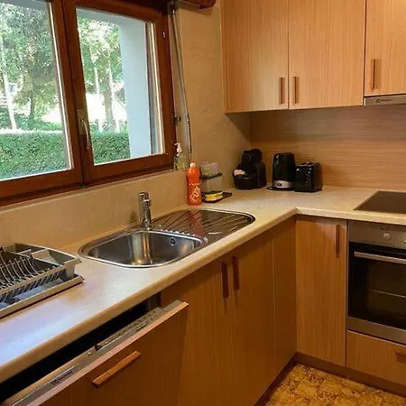 Chalet Spacious Chalet In Randogne Near Crans Montana *